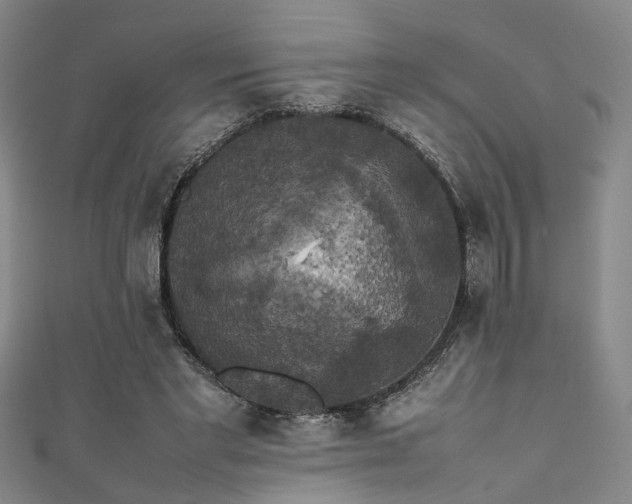 X0000111370493200907101214