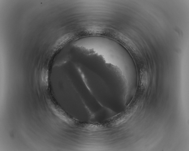 X0000111370494200907101214