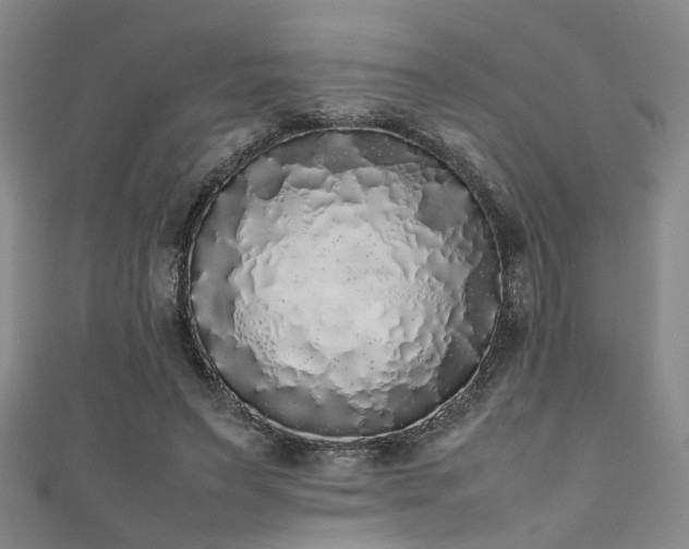 X0000111370495200907101214
