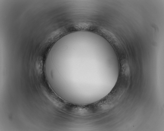 X0000111370498200907101214