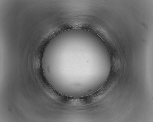 X0000111370499200907101214
