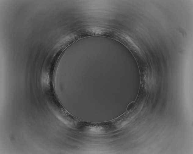 X0000111370500200907101214