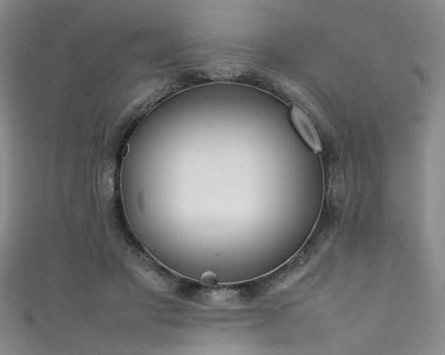 X0000111370501200907101214