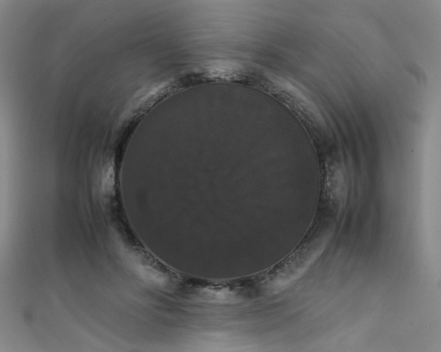 X0000111370502200907101214