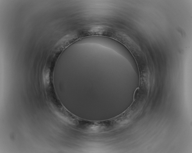 X0000111370504200907101214