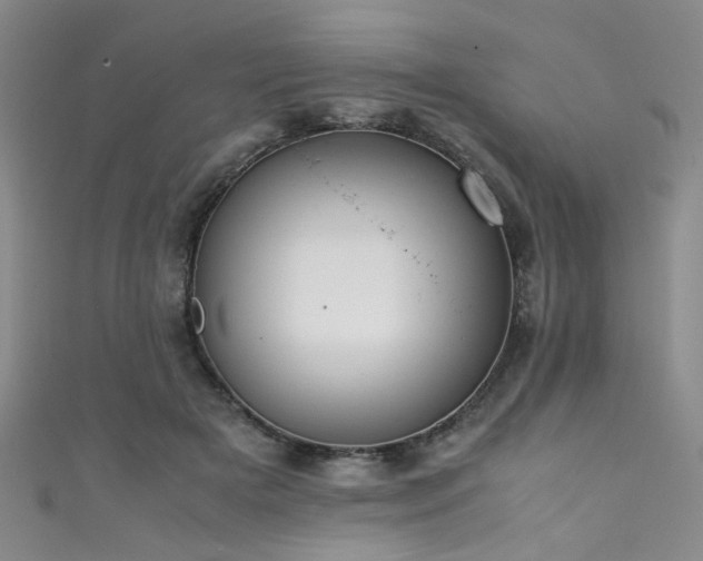 X0000111370505200907101214