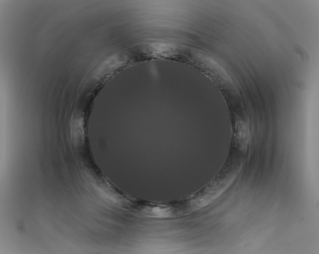 X0000111370506200907101214