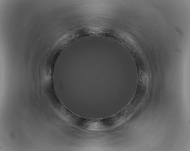 X0000111370507200907101214