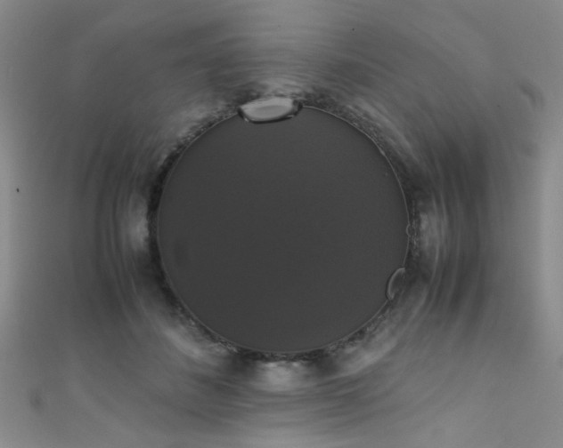 X0000111370508200907101214