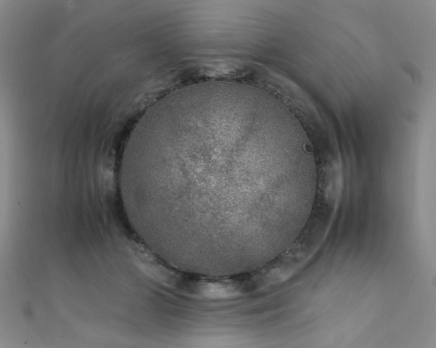 X0000111370510200907101214