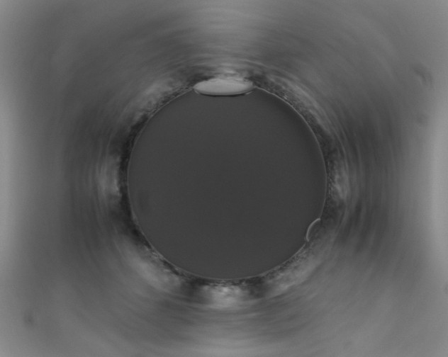 X0000111370512200907101214