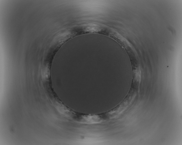 X0000111370517200907101214