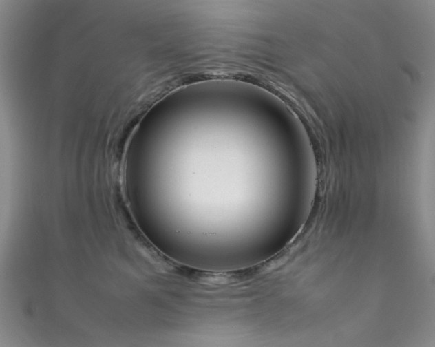 X0000111370521200907101214