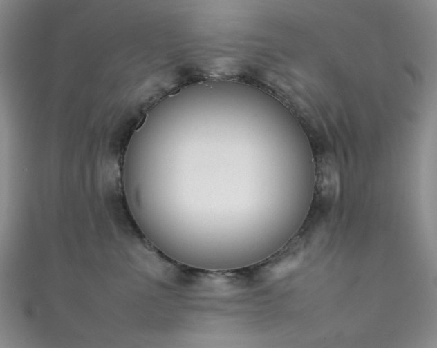 X0000111370523200907101214