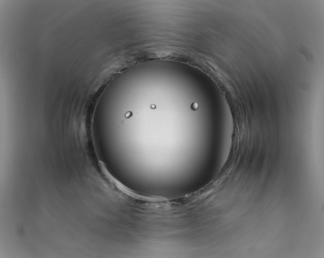 X0000111370524200907101214
