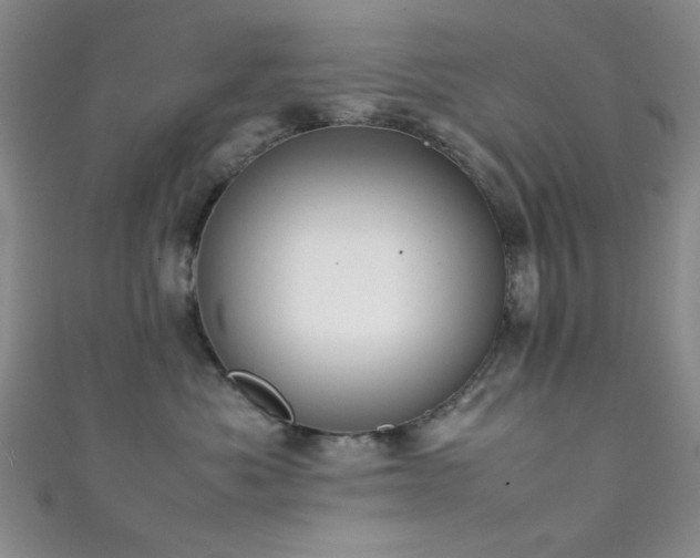 X0000111370525200907101214