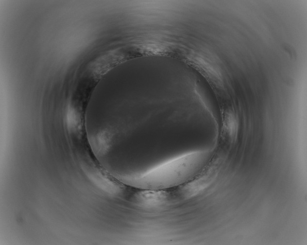 X0000111370526200907101214