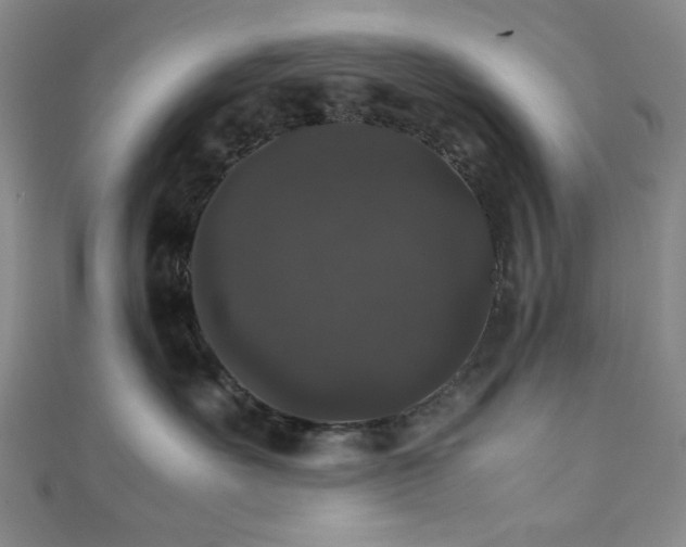 X0000111370527200907101214