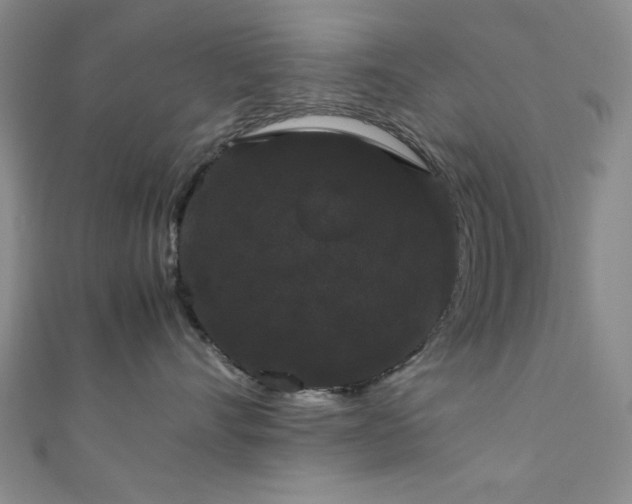 X0000111370528200907101214