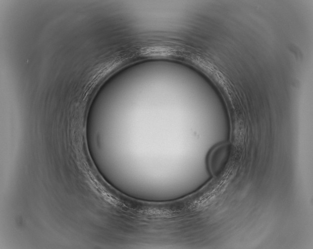 X0000111370529200907101213