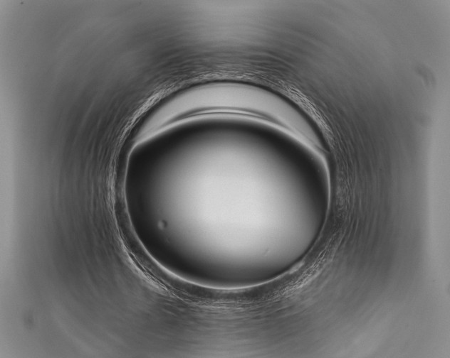 X0000111370530200907101213