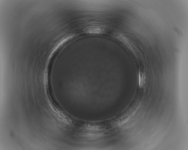 X0000111370531200907101213