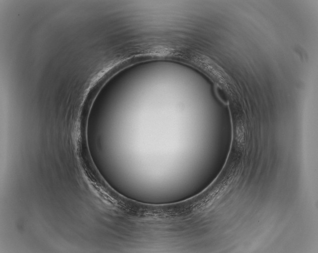 X0000111370532200907101213