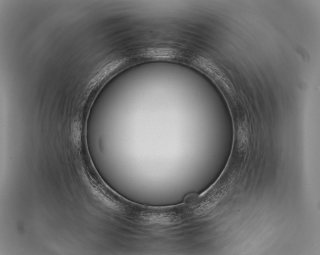 X0000111370533200907101213
