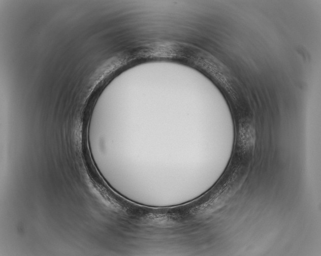 X0000111370534200907101213