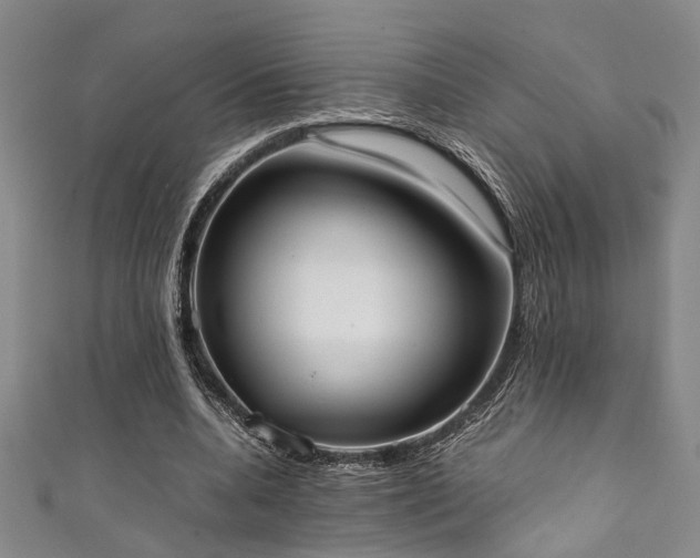 X0000111370536200907101213