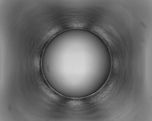 X0000111370537200907101213