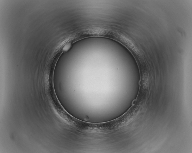 X0000111370538200907101213