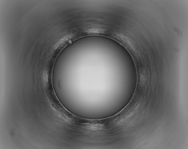 X0000111370539200907101213