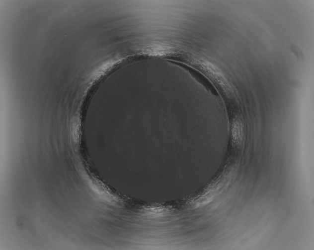 X0000111370540200907101213