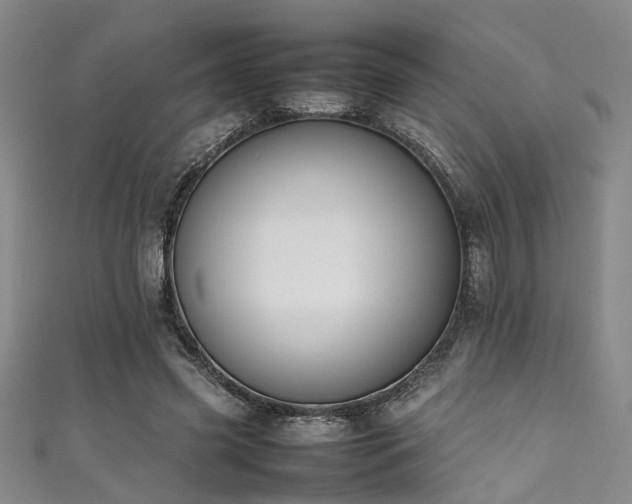 X0000111370541200907101213