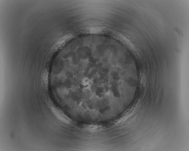 X0000111370542200907101213