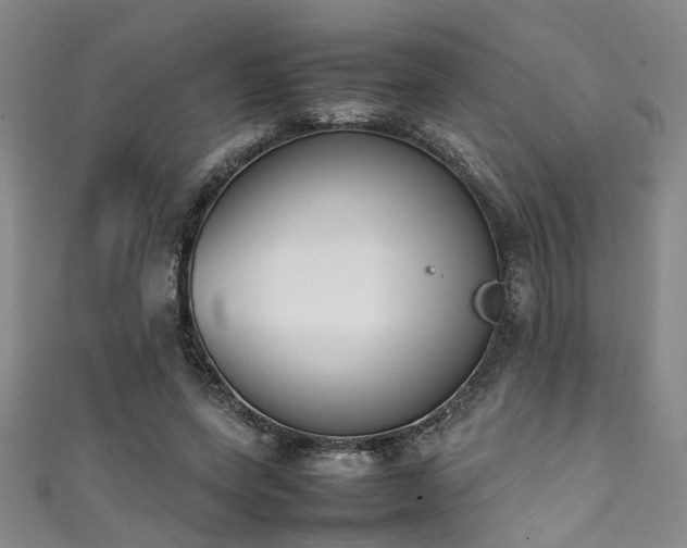 X0000111370543200907101213