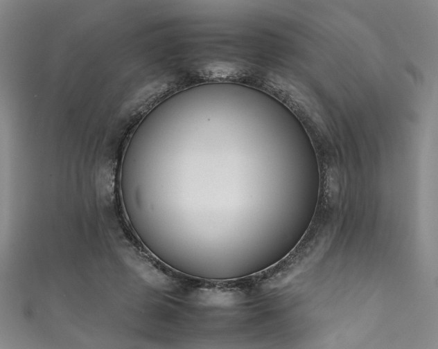 X0000111370545200907101213