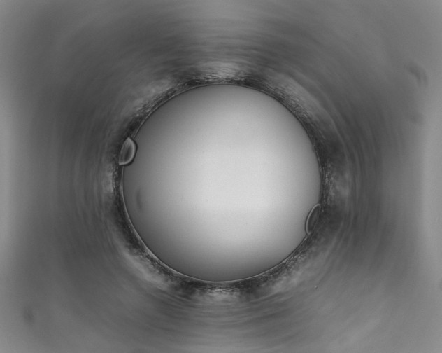 X0000111370546200907101213