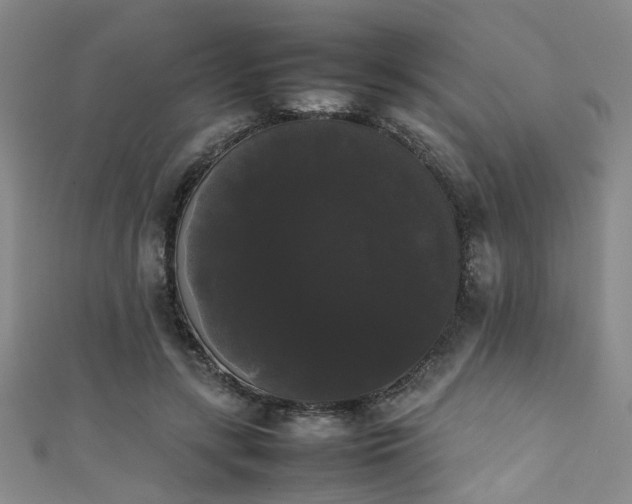 X0000111370547200907101213