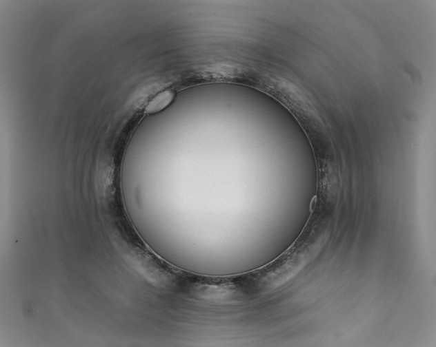 X0000111370548200907101213