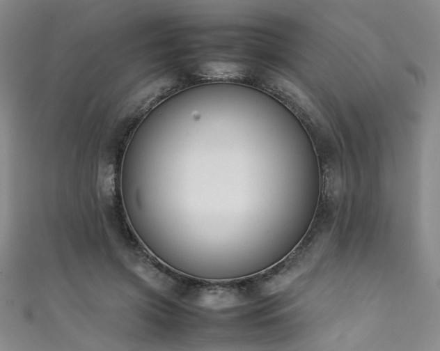 X0000111370549200907101213