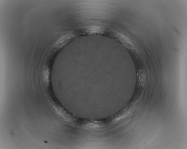 X0000111370550200907101213