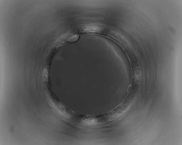 X0000111370551200907101213
