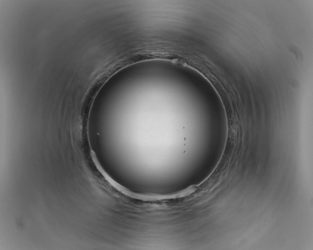 X0000111370552200907101213