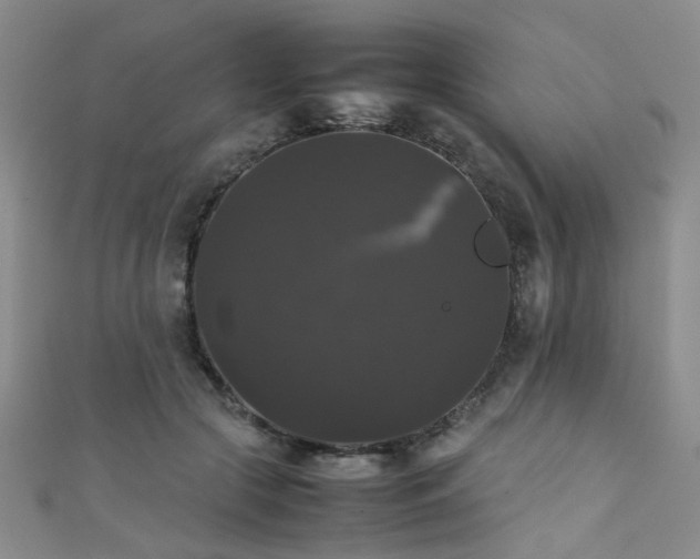 X0000111370553200907101213