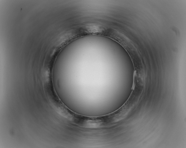X0000111370556200907101213