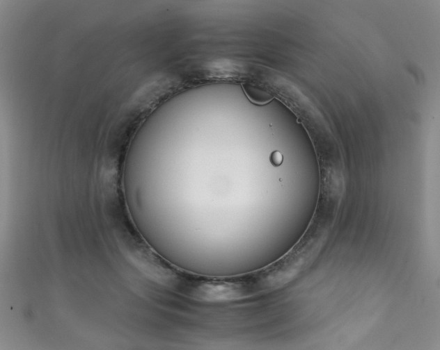 X0000111370557200907101213