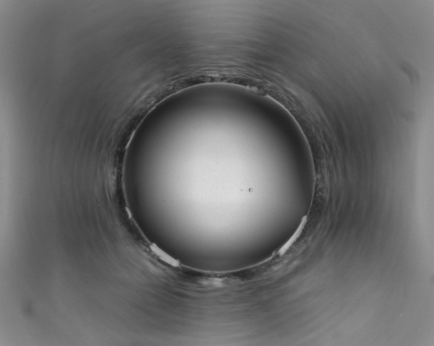 X0000111370558200907101213