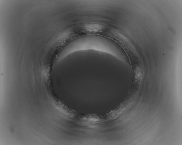 X0000111370559200907101213